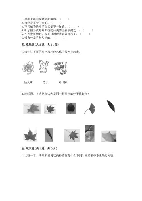 教科版科学一年级上册第一单元《植物》测试卷附答案【预热题】.docx