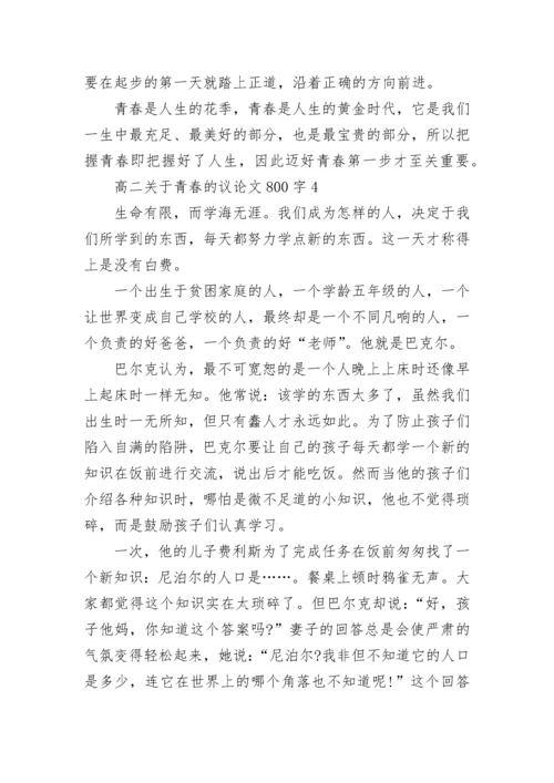 高二关于青春的议论文800字.docx