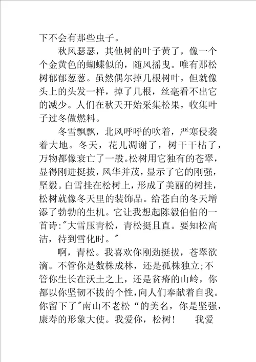 我爱梅花作文700字