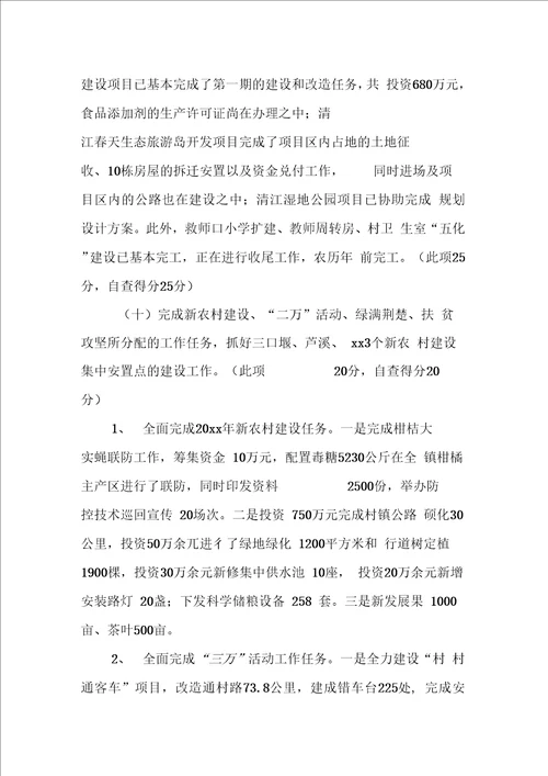 乡镇综合目标管理责任制执行情况自查报告