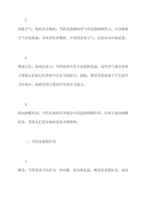 芍药花束的功效与作用