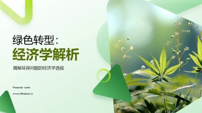 绿色转型：经济学解析