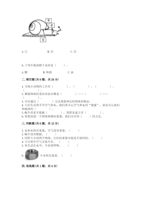 教科版小学科学一年级下册期末测试卷附参考答案ab卷.docx