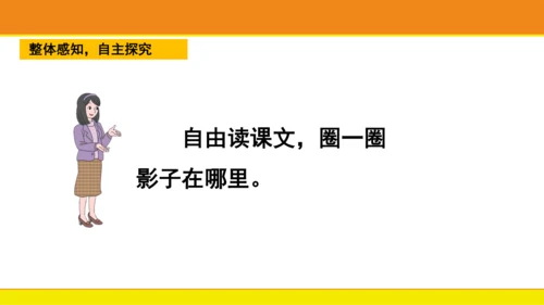 5 影子  课件