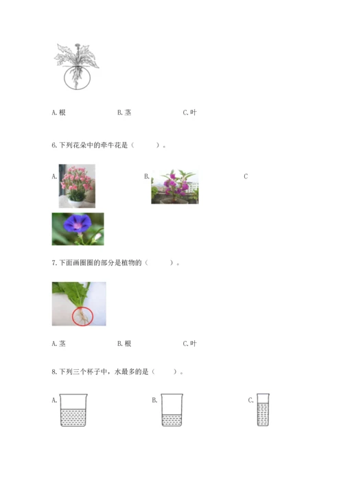 教科版一年级上册科学期末测试卷附完整答案【夺冠系列】.docx