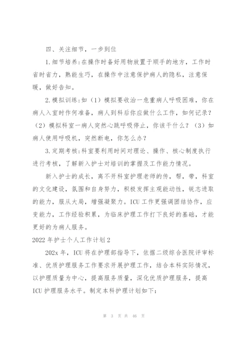 2022年护士个人工作计划.docx