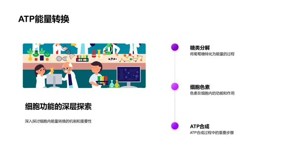 探索细胞学PPT模板