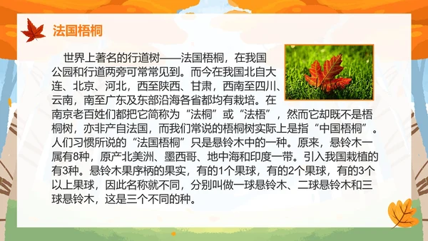 部编版三年级上册《铺满金色巴掌的水泥道》PPT模板