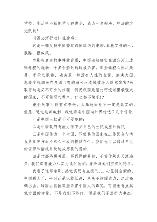 观《湄公河行动》有感.docx