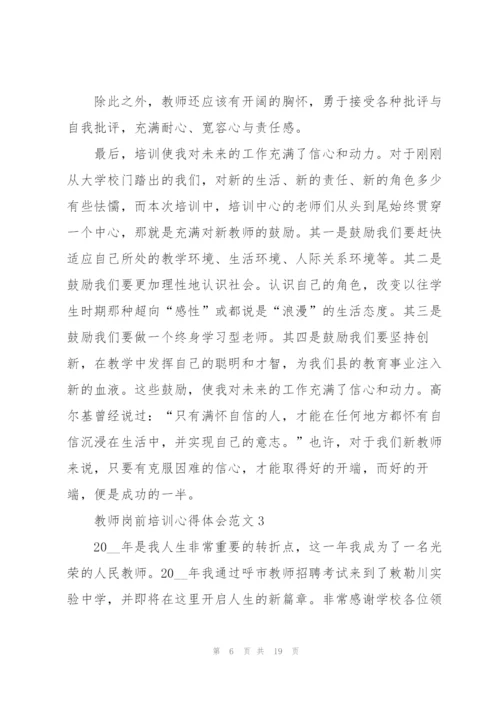 教师岗前培训心得体会范文.docx