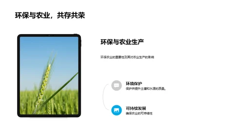 绿色之路：XX农业的环保探索
