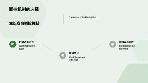 植物生长的秘密