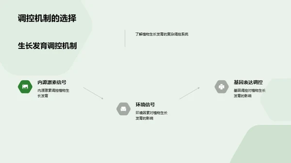 植物生长的秘密