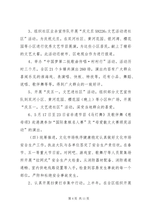 文广新局20XX年上半年工作总结及20XX年下半年工作计划.docx