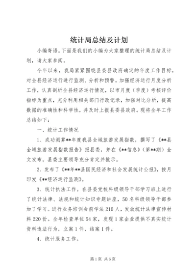 统计局总结及计划 (2).docx