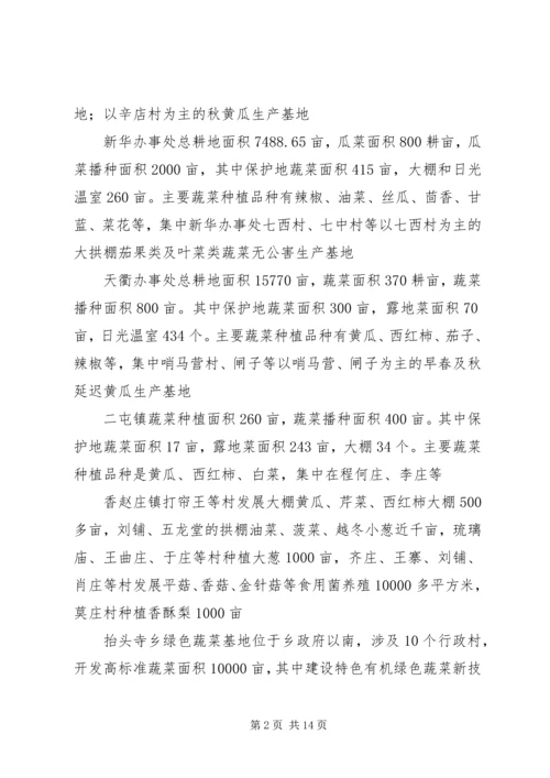 蔬菜大棚实施方案 (2).docx