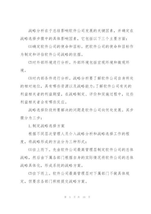 软件公司发展战略规划.docx