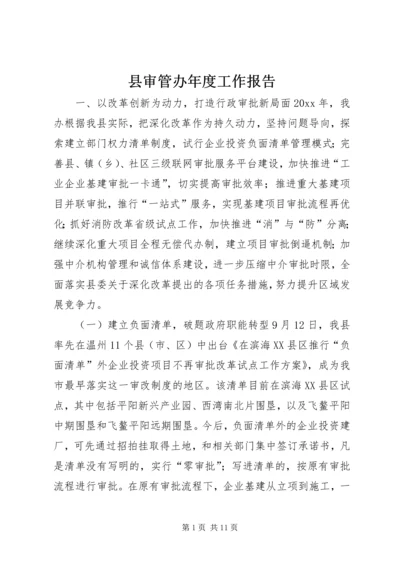 县审管办年度工作报告 (2).docx