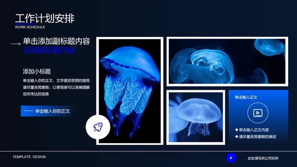 深蓝色自然生物教学通用PPT演示模板