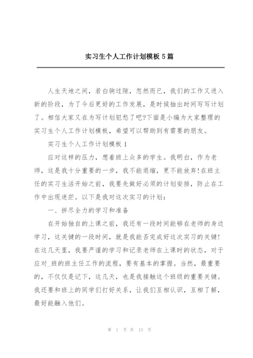 实习生个人工作计划模板5篇.docx