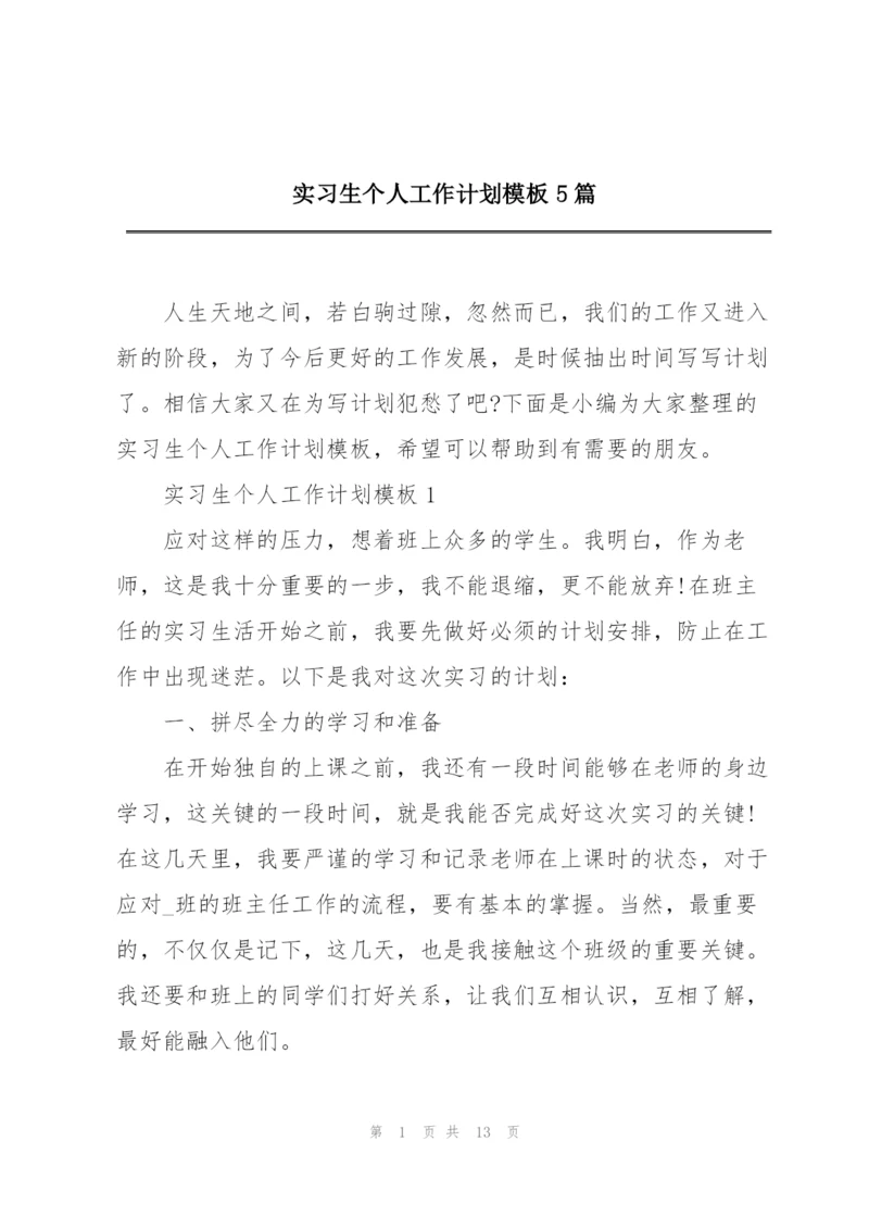 实习生个人工作计划模板5篇.docx