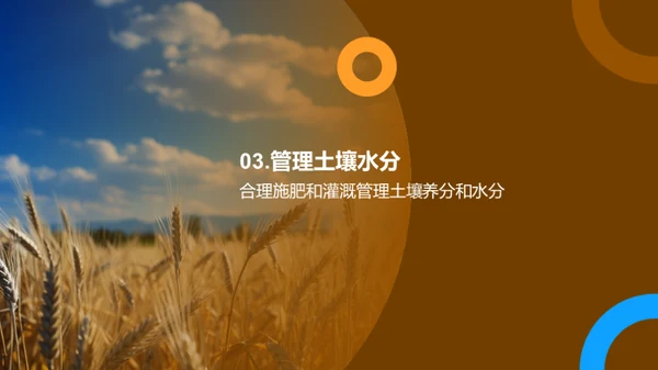 农业种植：智慧之选