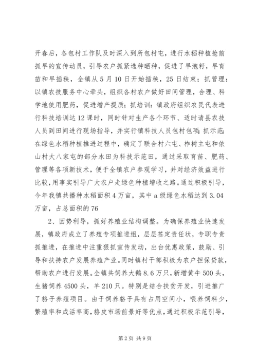 乡镇政府年终工作汇报.docx