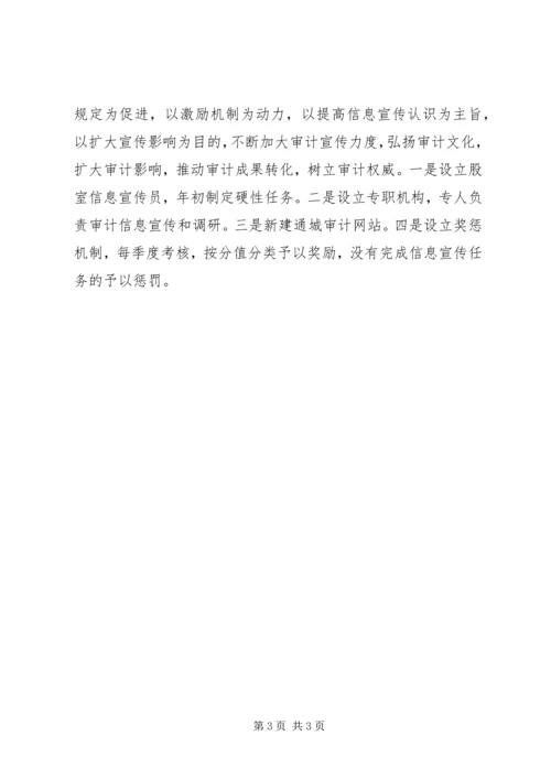 年初审计工作计划 (2).docx