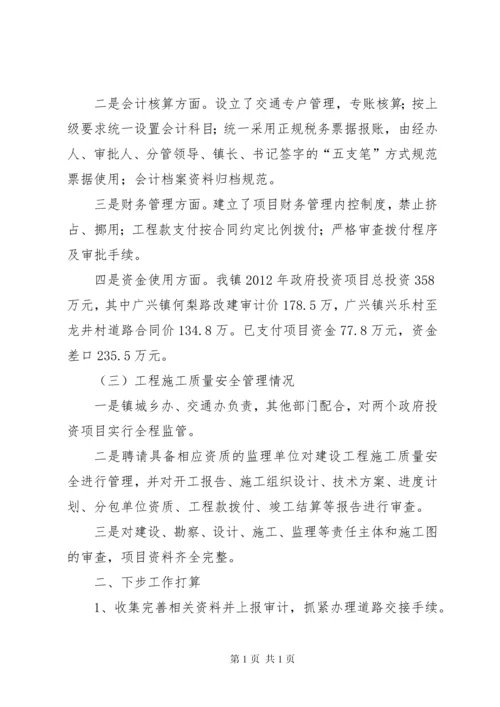 关于对政府投资项目自查的情况报告.docx