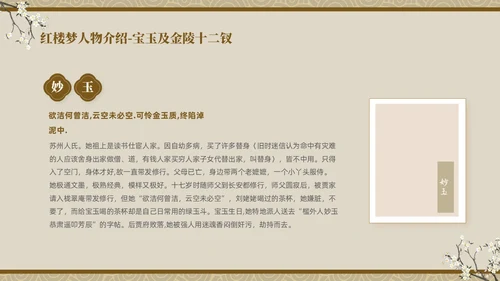 褐色复古中国风中国四大名著之红楼梦人物介绍PPT