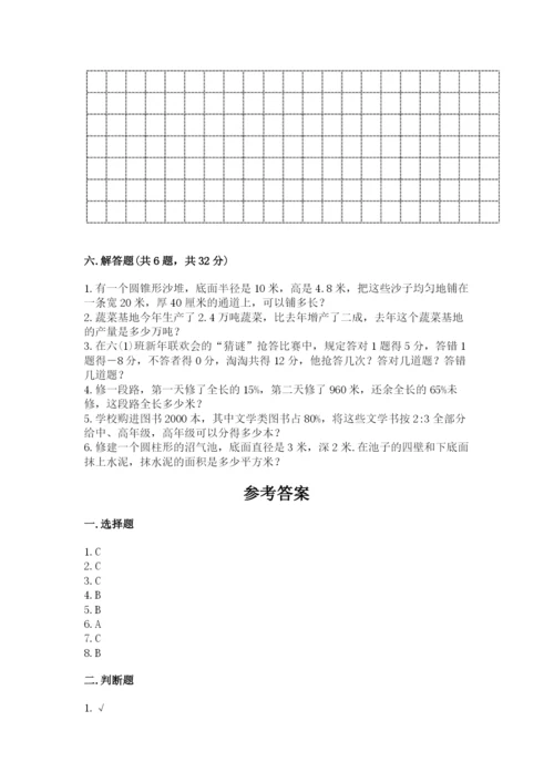 人教版六年级下册数学期末测试卷精品【典优】.docx