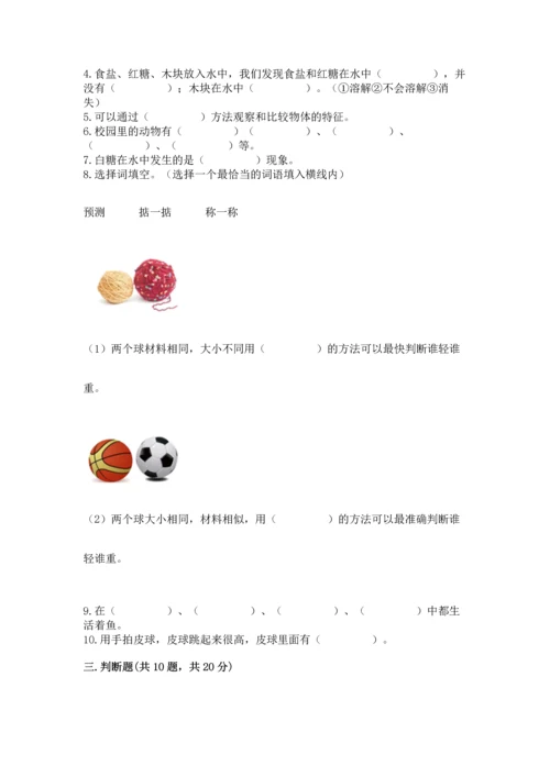 教科版一年级下册科学期末测试卷及下载答案.docx