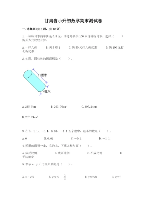 甘肃省小升初数学期末测试卷精选.docx