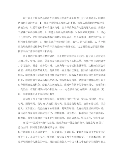 精编之银行试用期个人总结范文.docx