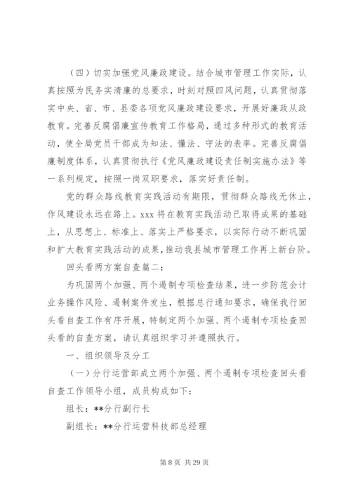 回头看两方案自查3篇.docx