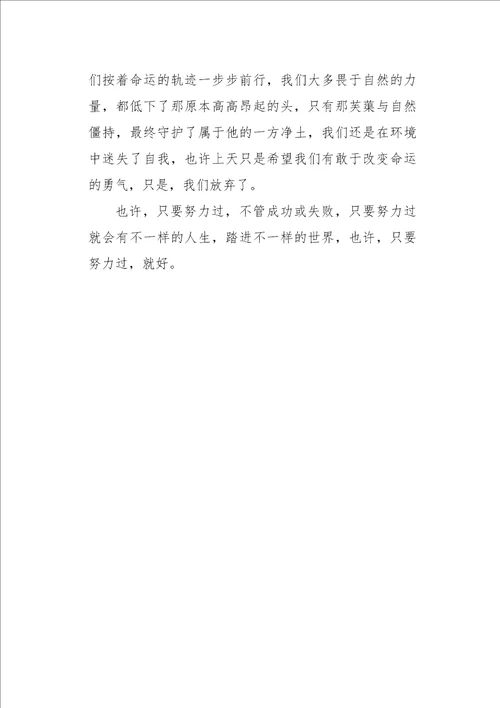 初三作文杂文韵典芙蕖1000字