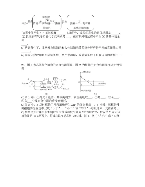 甘肃省庆阳市2023学年度高一上学期期末生物试题