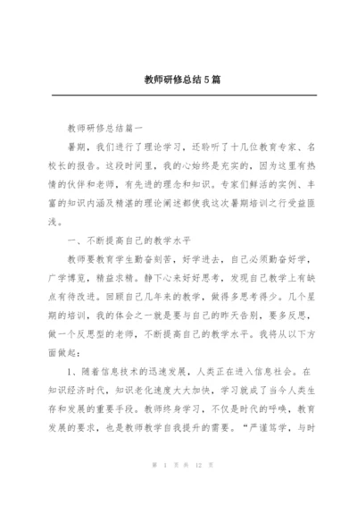 教师研修总结5篇.docx