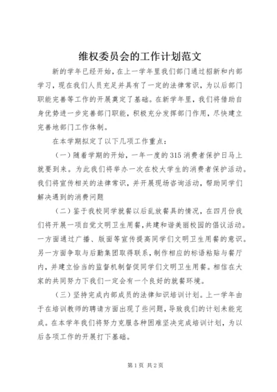 维权委员会的工作计划范文.docx