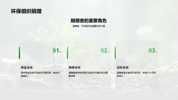 绿色行动:我们的责任