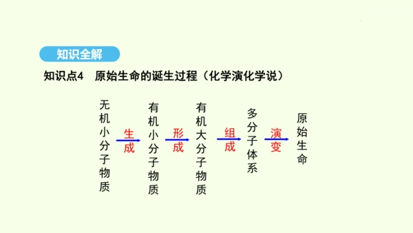 7.3.1地球上生命的起源课件-人教版生物八年级下册(共22张PPT)