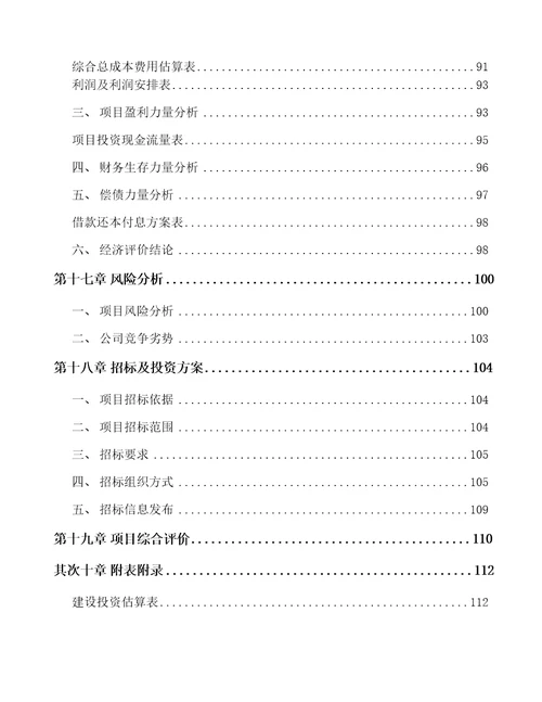 碳纤维产品项目可行性研究报告