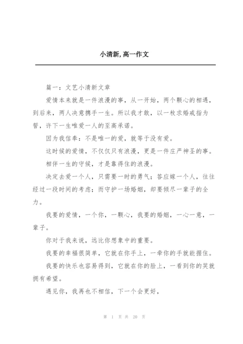小清新,高一作文.docx