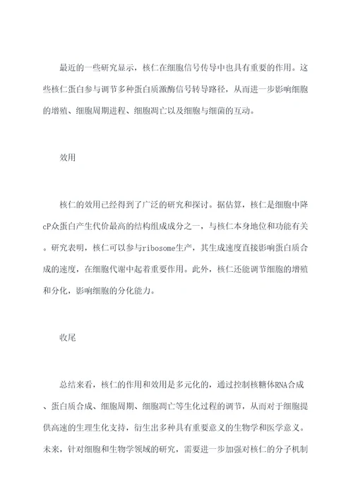 核仁作用与功效与作用
