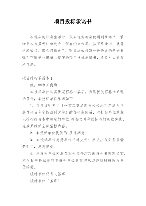 项目投标承诺书.docx