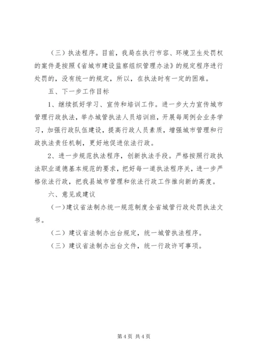 城管局执法案卷工作报告.docx