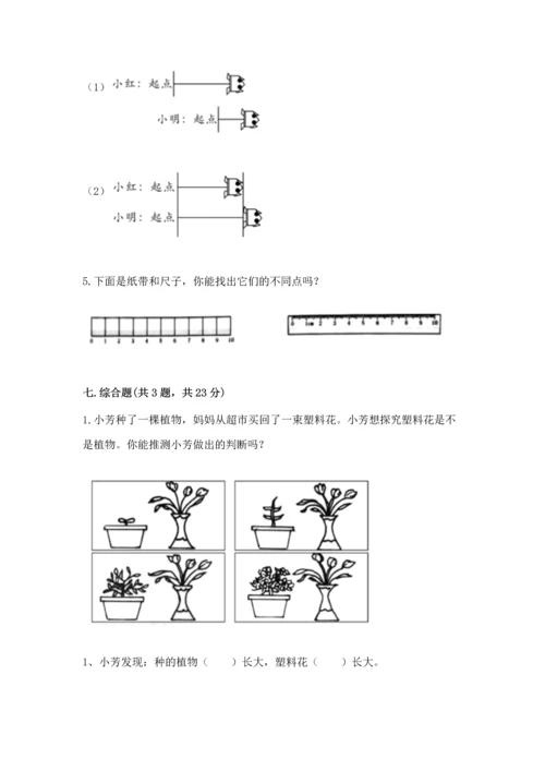 教科版一年级上册科学期末测试卷及参考答案.docx