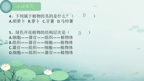 人教版（2024）七年级上册1.3.1植物体的结构层次 课件(共23张PPT)