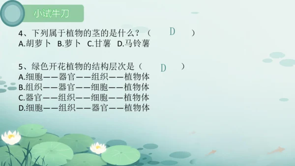 人教版（2024）七年级上册1.3.1植物体的结构层次 课件(共23张PPT)