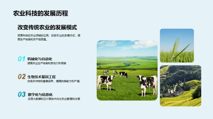 农科前沿：XX公司的创新之路